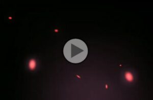 black screen particles video download